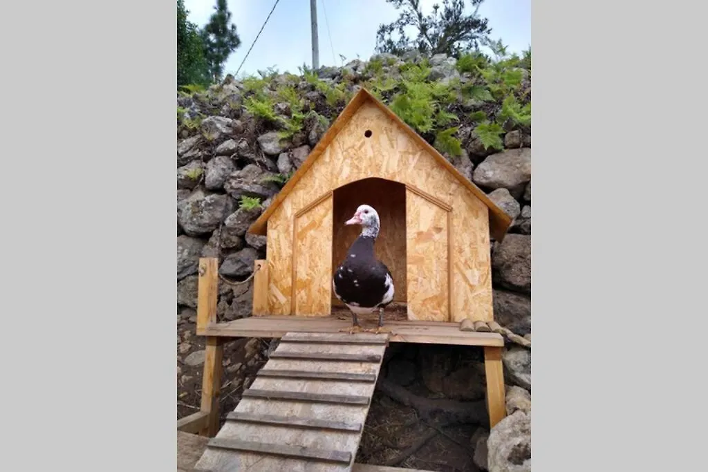 La Tagora Conect With The Nature & Relax Icod De Los Vinos 0*,