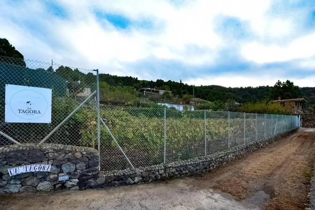 La Tagora Conect With The Nature & Relax Icod De Los Vinos