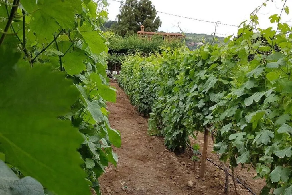 Chalet La Tagora Conect With The Nature & Relax Icod De Los Vinos