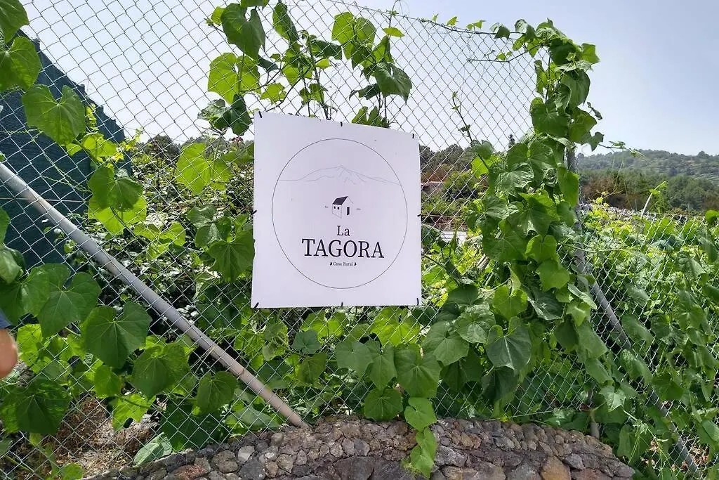 La Tagora Conect With The Nature & Relax Icod De Los Vinos 0*,