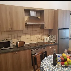 Palmeras , Icod De Los Vinos Spanien