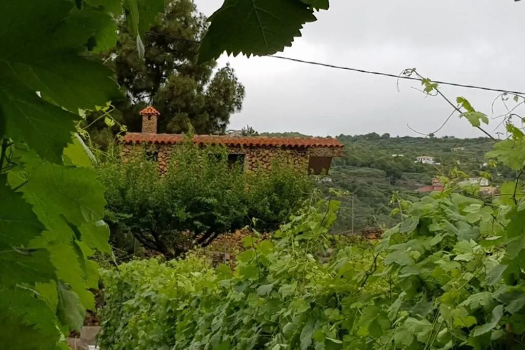 La Tagora Conect With The Nature & Relax Icod De Los Vinos