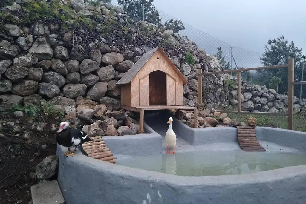 Chalet La Tagora Conect With The Nature & Relax Icod De Los Vinos Spain